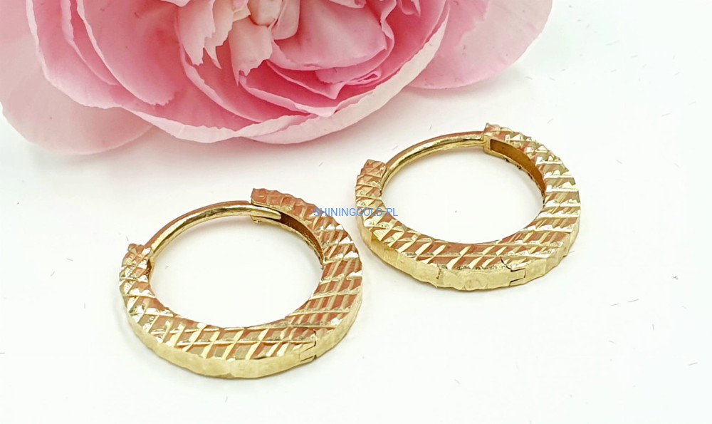 Złote kolczyki (776.WG)