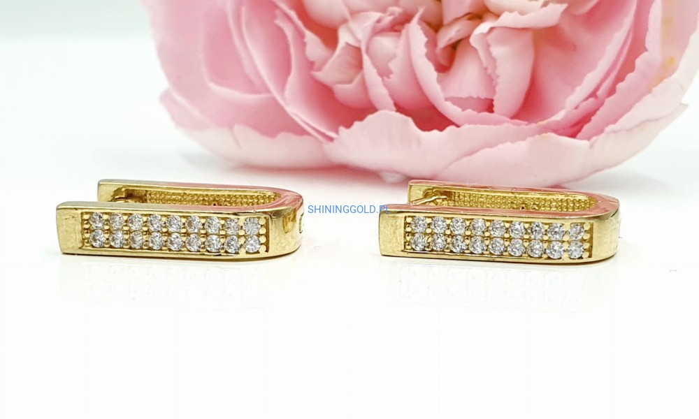 Złote kolczyki (779.WG)