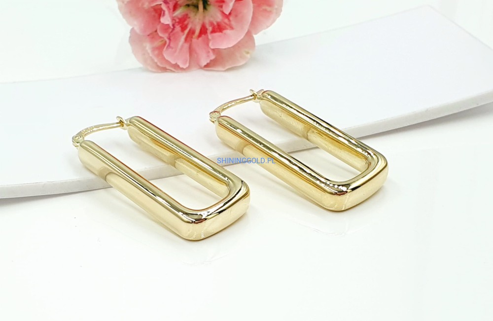 Złote kolczyki (782.WG)