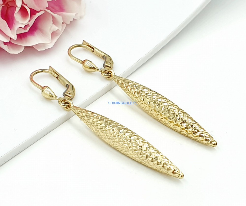 Złote kolczyki (788.WG)