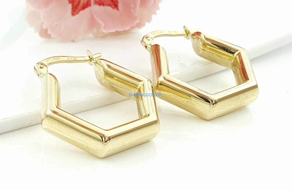 Złote kolczyki (745.WG)