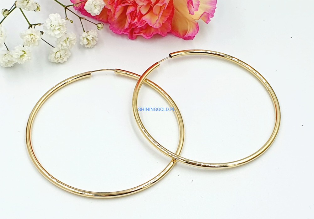 Złote kolczyki (731.WS)