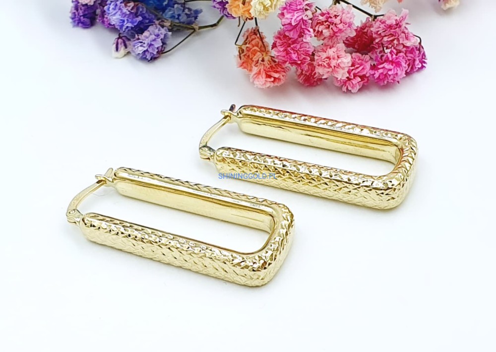 Złote kolczyki (777.WS)