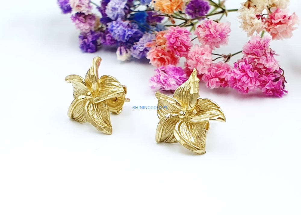 Złote kolczyki (717.P)