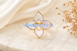 file_00000000e2e071f4a61666820a4bb5a5.png