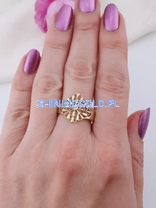 IMG_20260617_215644_861.jpg