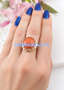file_00000000319c8210b5189413d37978eb.png