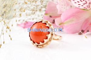 file_000000008640820ab4b9308793a7a8a5.png