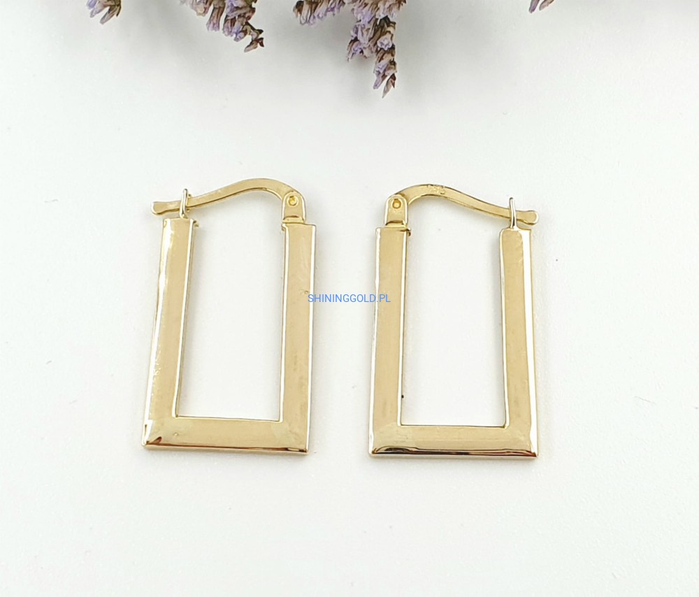 Złote kolczyki (740.WG)